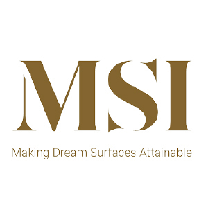 MSI logo.